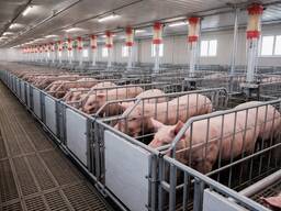 Свинокомплекс повного циклу