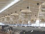 Системи охолодження та вентиляції корівників - фото 1