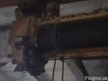 Тельфер сов. грузопідємність 2 тони висота підйому18 метрів