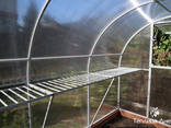 Теплица каркас под пленку и поликрбонат - фото 3