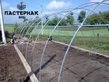 Теплиця. Теплиці від виробника. Оцинковані - фото 2