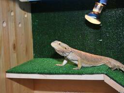 Термоковрик (электроковрик) 50х30