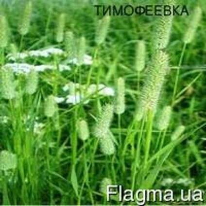 Тимофеевка