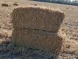Тюки з соломи - фото 1