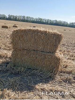 Тюки з соломи