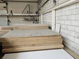 Tomassini Automatic Furniture Board Transporter Horizontal Board Magazine - фото 5