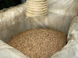 Топливные пеллеты