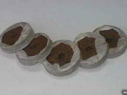 Торфяная таблетка ф41мм