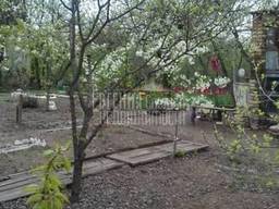 Участок, 4 сот. , Ясногорк