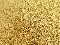 Товарне зерно амаранту