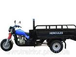 Трицикл Hercules Q1 200 вантажопідйомністю 600 кг - фото 2