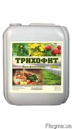 Трихофит (триходермин)