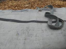 Тріска сосна