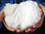 Целюлоза - фото 1