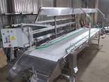 Цінспекційний конвеєр для ягід - фото 5