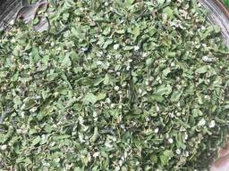 Цвіт глоду, цвет глоду