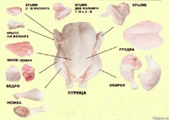 Фото Частей Курицы