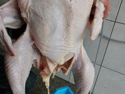 Тушка Курицы, мясо чистое без химии и антибиотиков, не шприц
