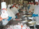 Тушка курина Halal калибром 0,9-1,5 кг - фото 2