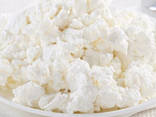 Творог сыр кисломолочный 9% оптом молочка с ндс и без ндс - фото 1