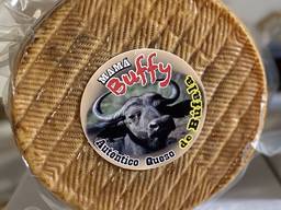Твёрдый сыр из молока буйволицы из Испании