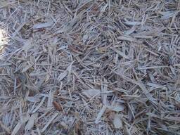 Тырса с оцилиндрованного станка