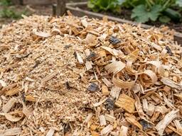 Тирса опилка