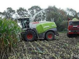 Уборка кукурузы на силос услуги силосоуборочных комбайнов