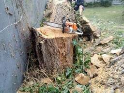 Уборка территории, вывоз мусора