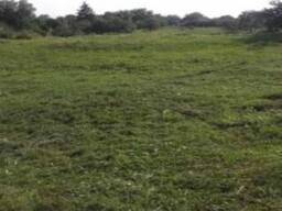 Участок под дом вашей мечты.