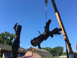 Удаление деревьев, Кронирование, Спил частями, Санитарная обрезка