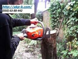 Удалить дерево на участке. , убрать участок.