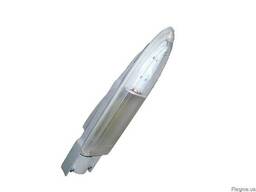 Уличный светодиодный светильник ДКУ-52С-20-001