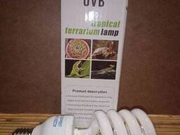 Ультрафиолетовая лампа для пустынных рептилий 10ка на 13 w