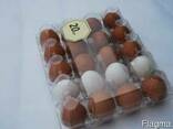 Упаковка для куриных и перепелиных яиц