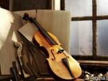 Уроки игры на скрипке. Днепр, школа творчества Imagine - фото 1