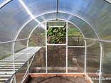 Теплица каркас под пленку и поликрбонат - фото 2