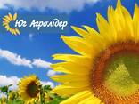 Услуги по обработке полей Авиа Дронами - фото 9