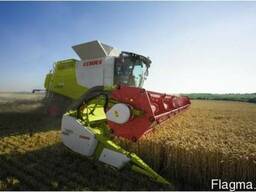 Услуги по уборке зерновых пшеницы рапса подсолнуха кукурузы