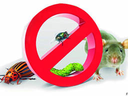 Уничтожение вредителей: тараканов, клопов, блох, крыс, мышей