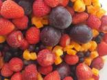 Шоковая заморозка ягод, овощей и фруктов. Услуга. (-37 ) - фото 8