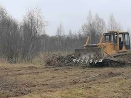 Услуги бульдозера (корчевание пней)