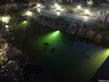 Установка подсветки для прудов, бассейнов, фонтанов - фото 2