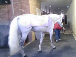 Устройство покрытйи пола из плит ПВХ