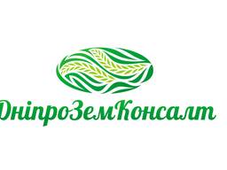 Узаконення самовільного будівництва. БТІ. Кадастрові номери.