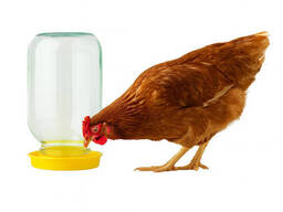 Вакуумная универсальная поилка для птицы кур, перепелов и цыплят (набор из 10 штук)