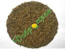 Валеріани насіння (лат. Valeriana officinalis seed)