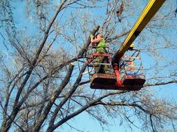 Аварийный спил деревьев, веток