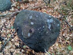 Валун гранітний лісовий