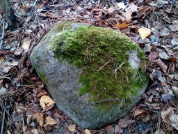 Валун лісовий з натурального каменю з мохом